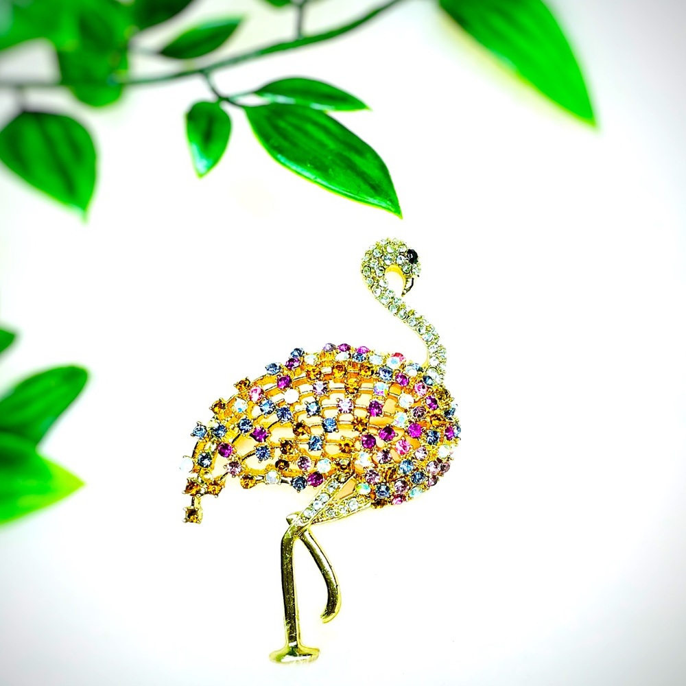 Brooch🦩